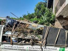 Best Construction Debris Removal  in Soddy Daisy, TN