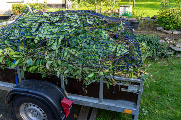 Best Commercial Junk Removal  in Soddy Daisy, TN